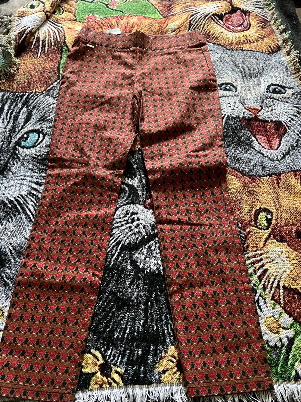 The Limited Red Patterned Men's Dress Pants